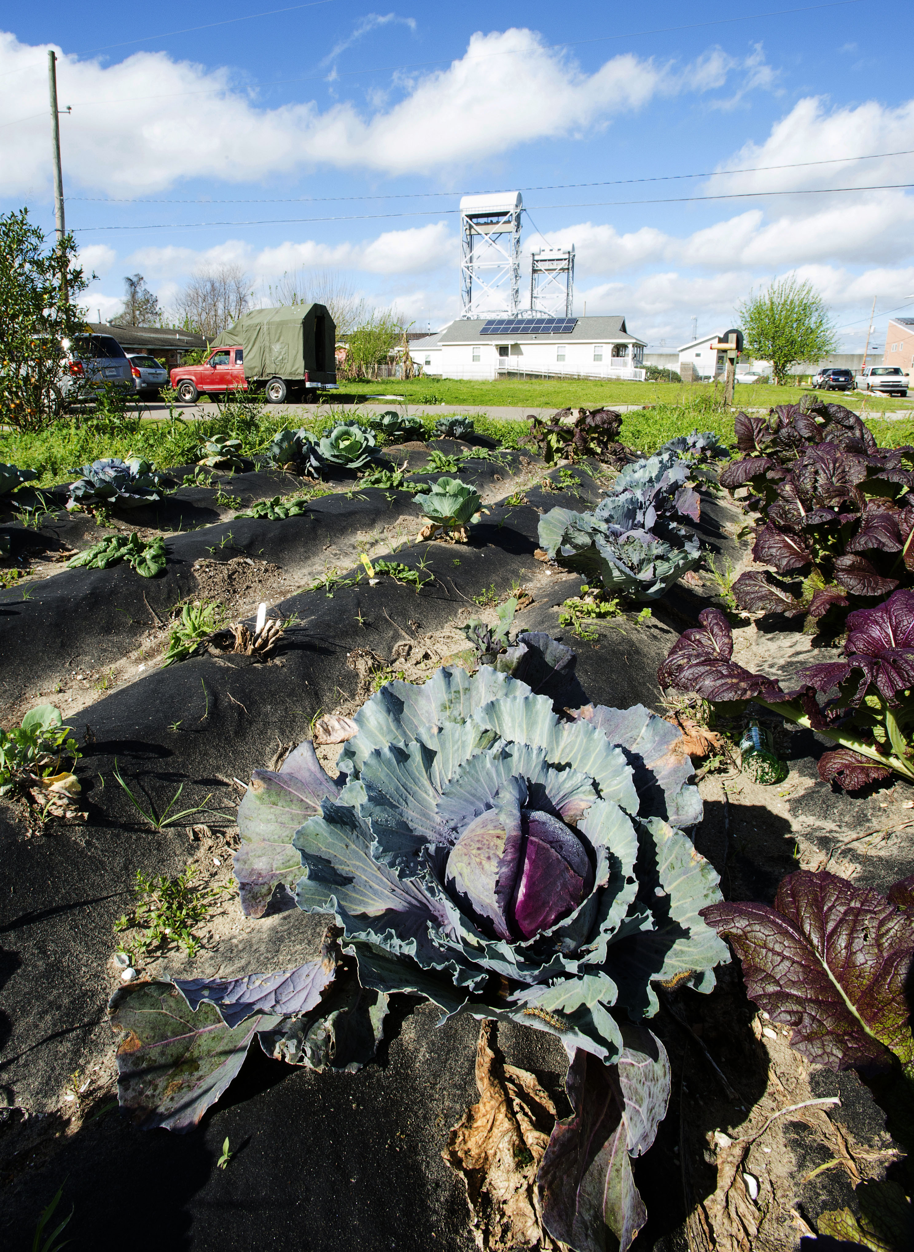 Community Gardening in Louisiana
